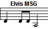 Elvis MSG